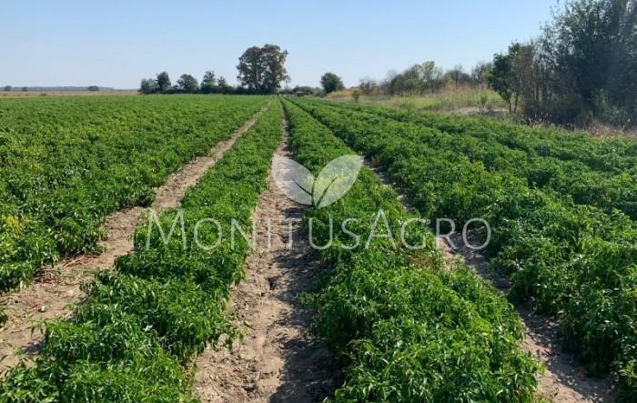 MONITUS AGRO d.o.o.