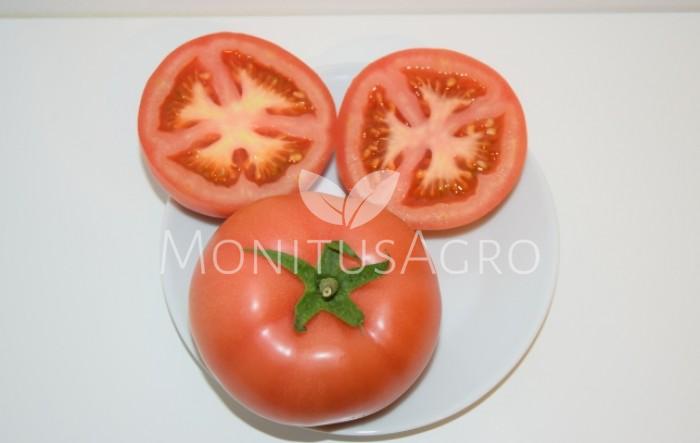 MONITUS AGRO d.o.o.