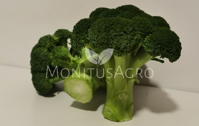 MONITUS AGRO d.o.o.