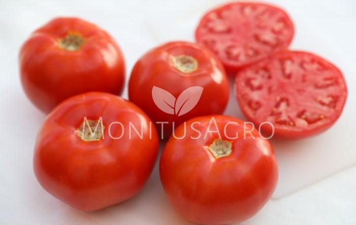 MONITUS AGRO d.o.o.