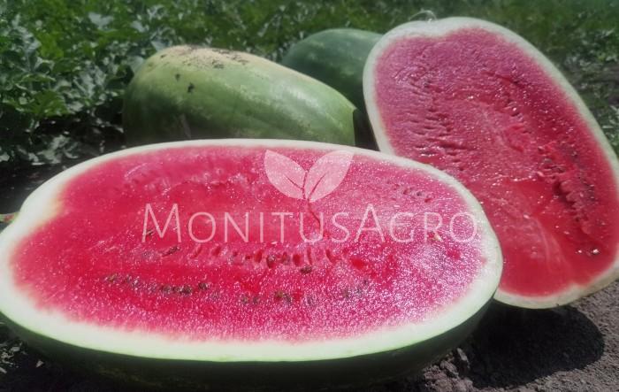 MONITUS AGRO d.o.o.