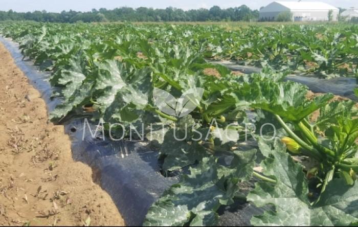 MONITUS AGRO d.o.o.