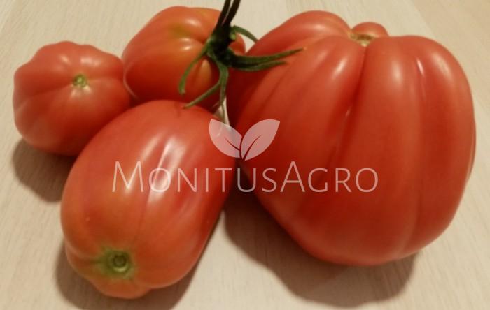 MONITUS AGRO d.o.o.