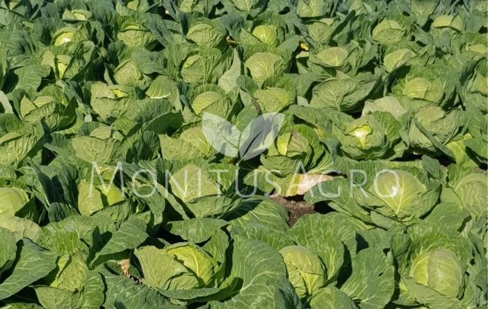 MONITUS AGRO d.o.o.