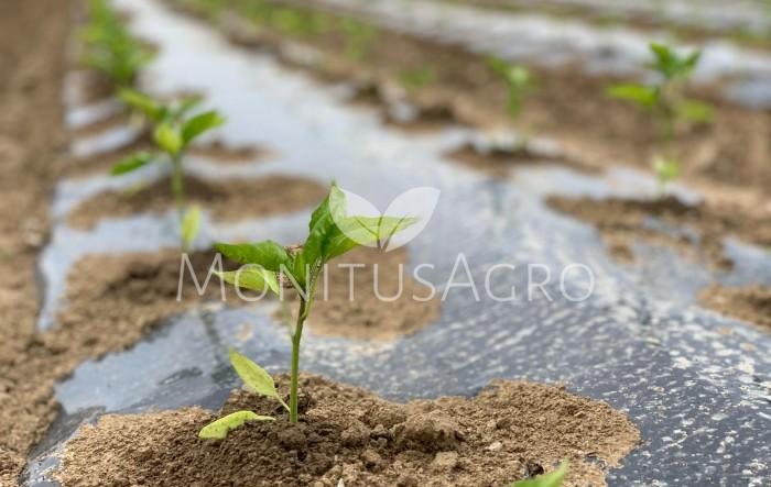 MONITUS AGRO d.o.o.