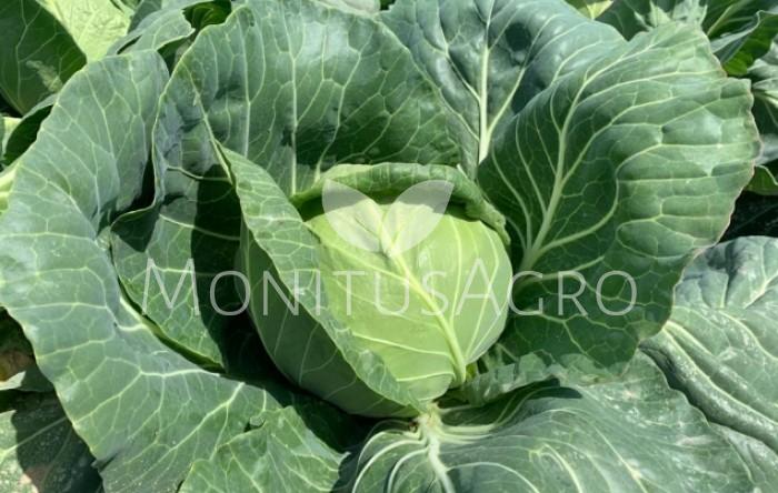 MONITUS AGRO d.o.o.