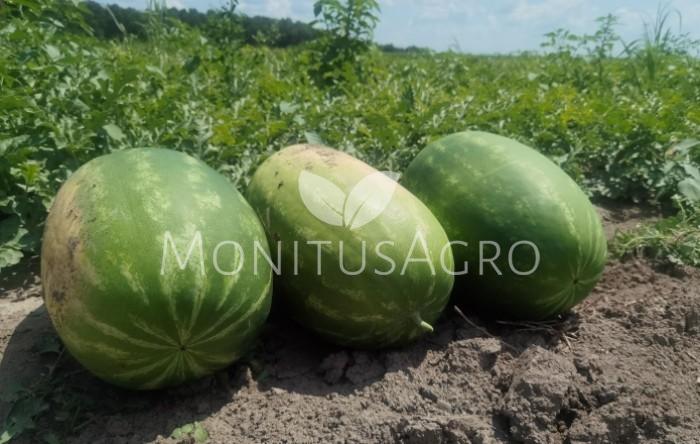 MONITUS AGRO d.o.o.