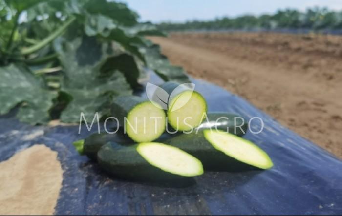 MONITUS AGRO d.o.o.