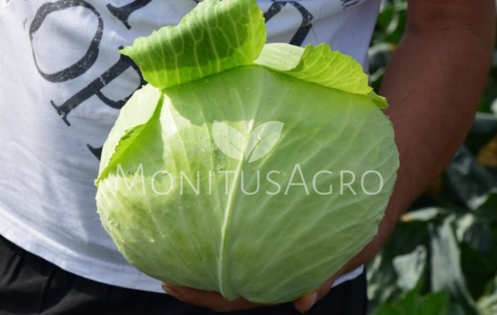 MONITUS AGRO d.o.o.