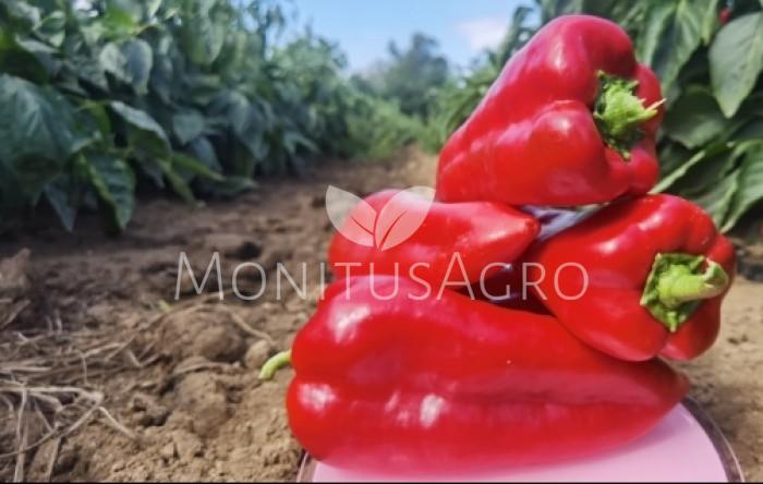 MONITUS AGRO d.o.o.