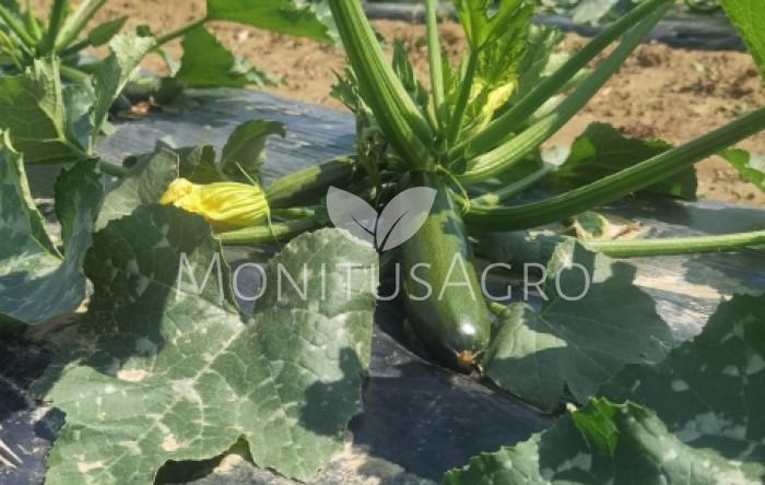 MONITUS AGRO d.o.o.