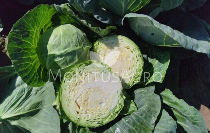 MONITUS AGRO d.o.o.