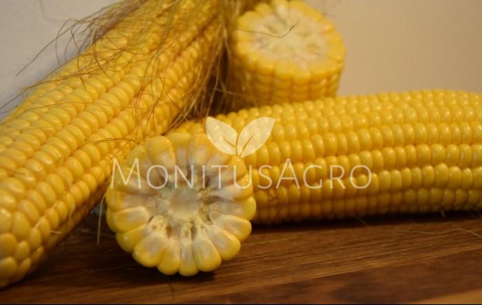 MONITUS AGRO d.o.o.