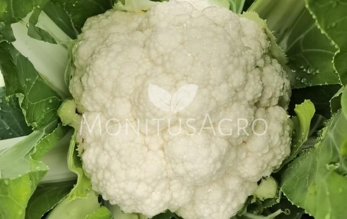 MONITUS AGRO d.o.o.