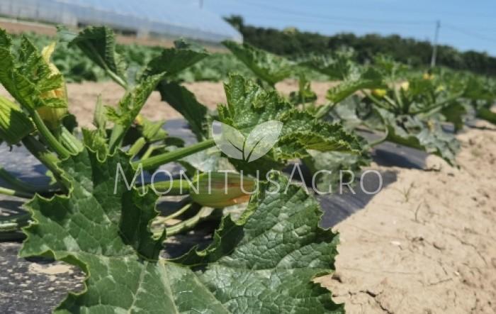 MONITUS AGRO d.o.o.