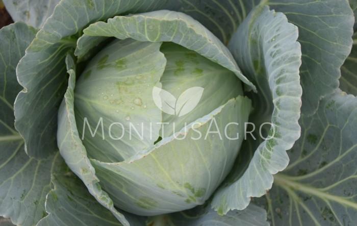 MONITUS AGRO d.o.o.