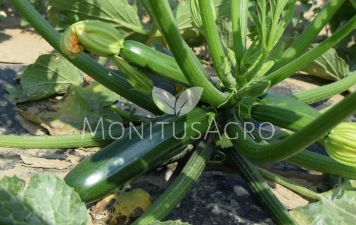 MONITUS AGRO d.o.o.