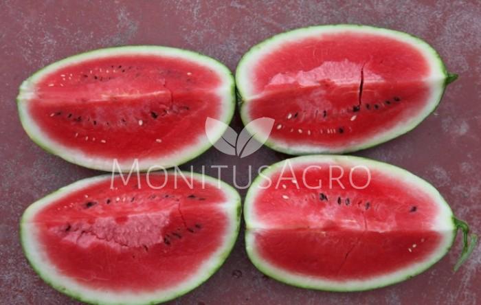 MONITUS AGRO d.o.o.