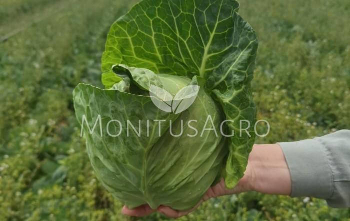 MONITUS AGRO d.o.o.