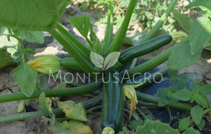MONITUS AGRO d.o.o.