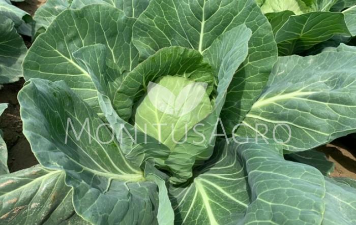 MONITUS AGRO d.o.o.