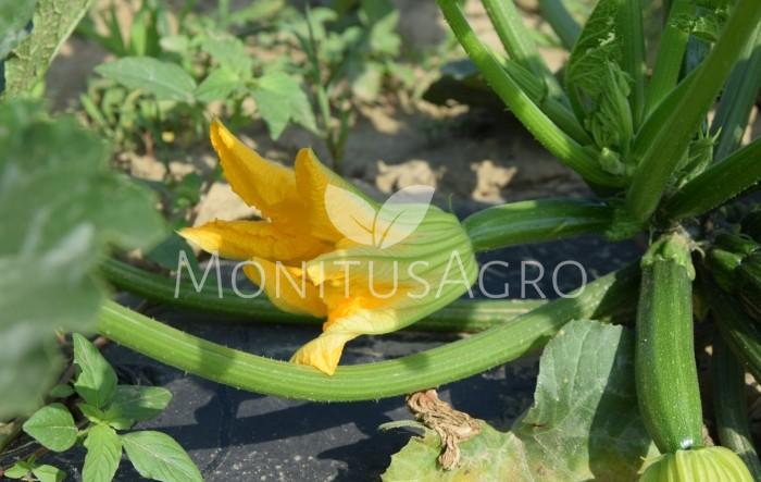 MONITUS AGRO d.o.o.