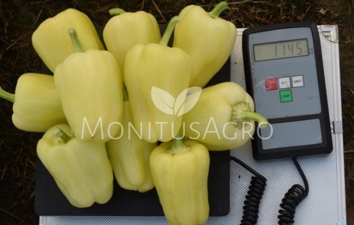 MONITUS AGRO d.o.o.
