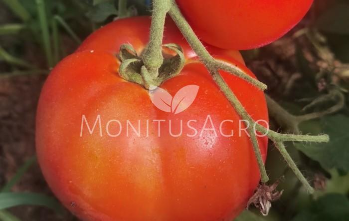 MONITUS AGRO d.o.o.