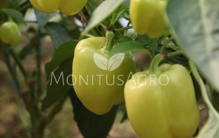 MONITUS AGRO d.o.o.
