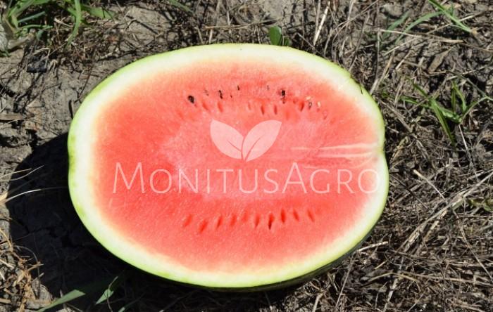 MONITUS AGRO d.o.o.