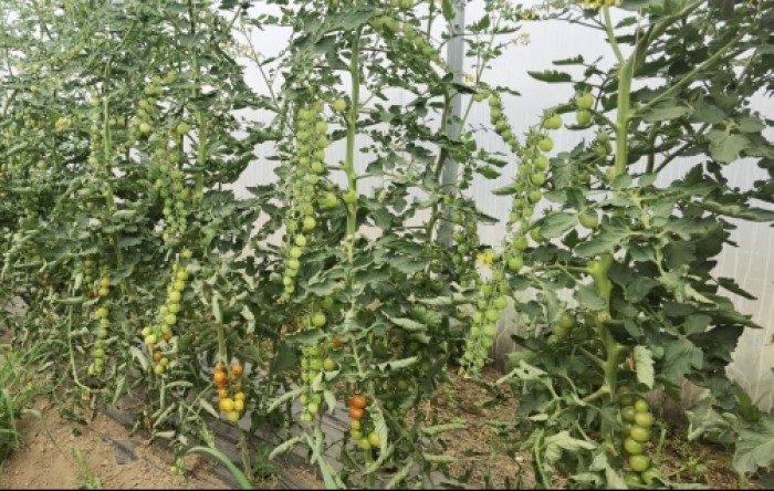 MONITUS AGRO d.o.o.