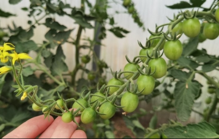 MONITUS AGRO d.o.o.