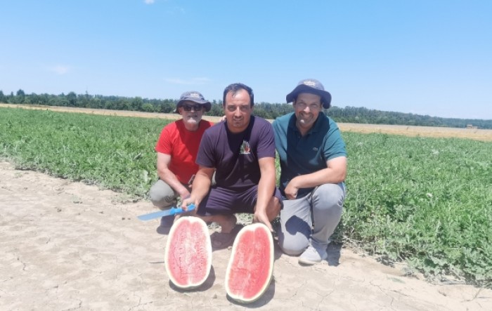 Kolege iz Grčke u posjeti