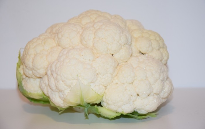 Destinica- Syngentin novi tip cvjetače