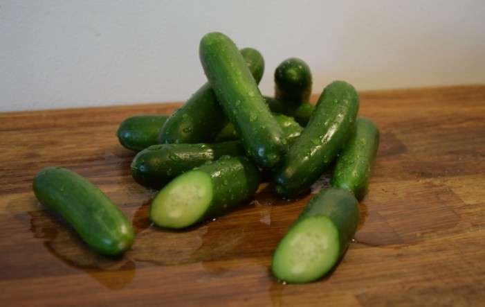 Prvi rezultati pokusa snack krastavca i rajčice