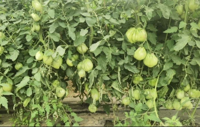 MONITUS AGRO d.o.o.