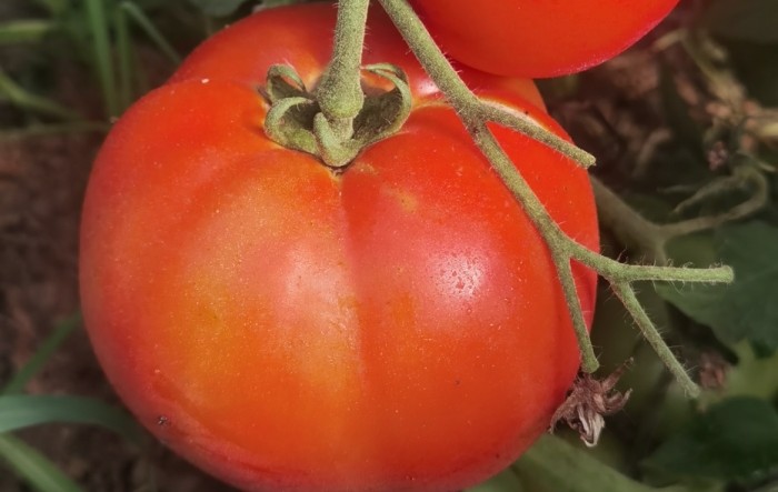 MONITUS AGRO d.o.o.