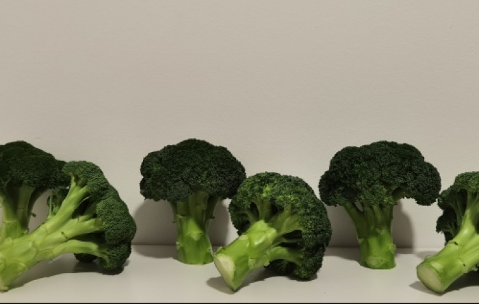 Nove brokule sjemenske kuće Syngenta